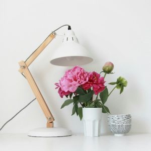 HyperLight Desk Lamp 1